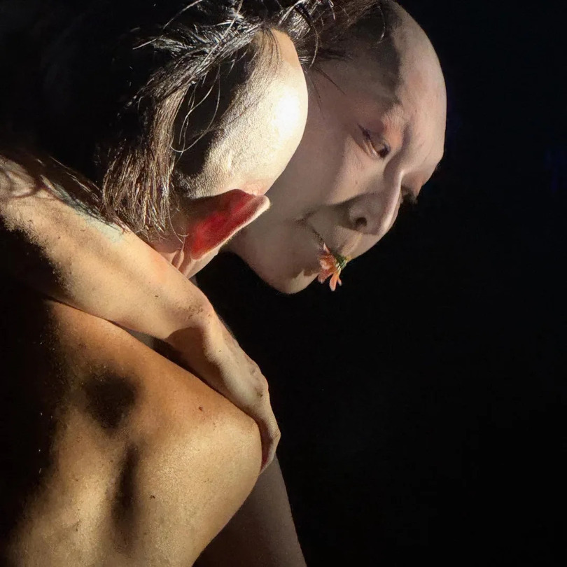 MUTSUMINEIRO Butho lab 11