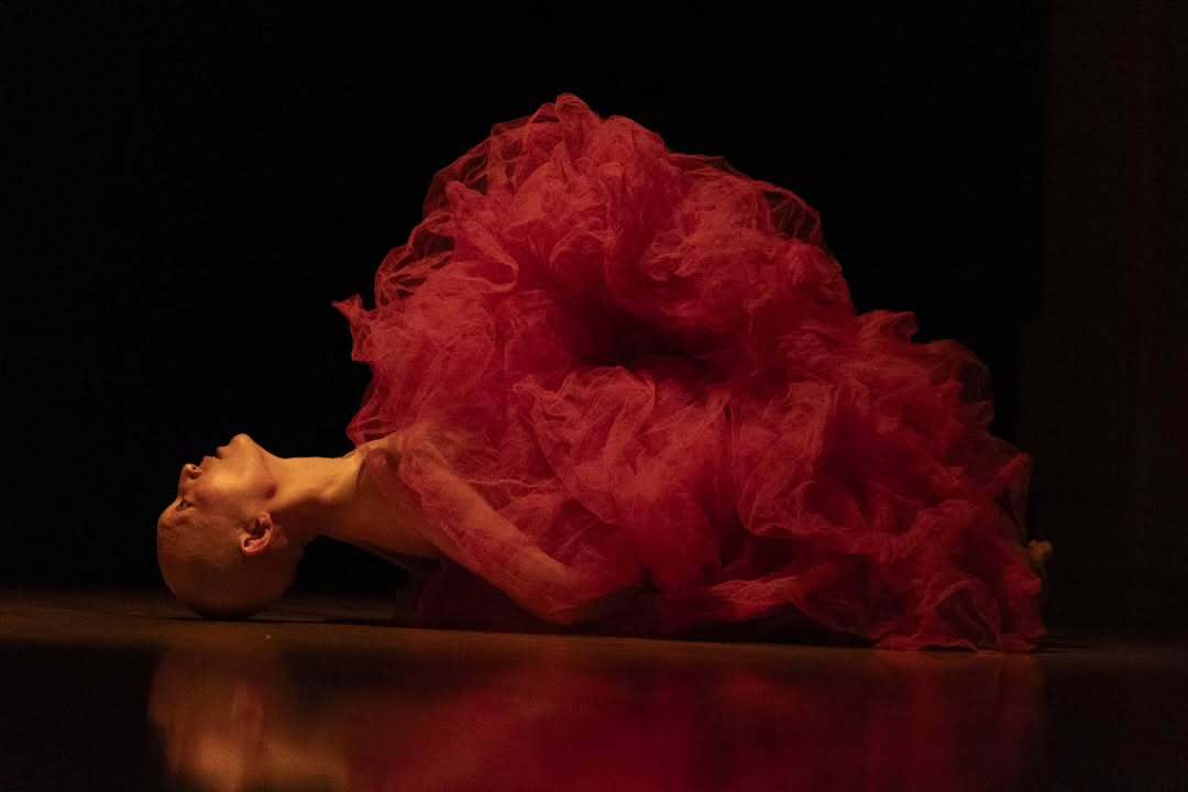 MUTSUMINEIRO Butho lab 5