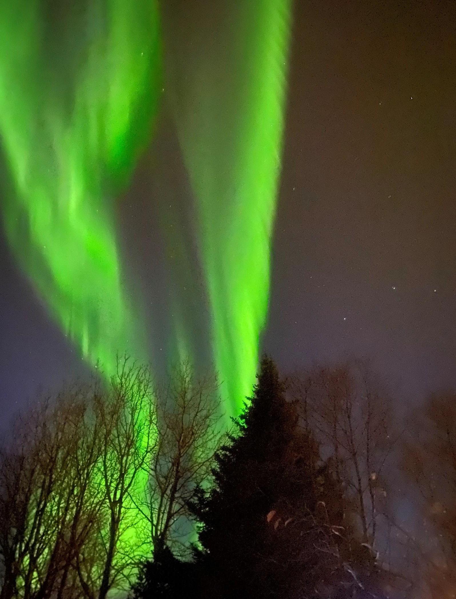 Iceland Dance Festival Samskara Nature 3